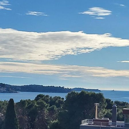 Villa Salvia Rooms And Apartments Rovinj Luaran gambar