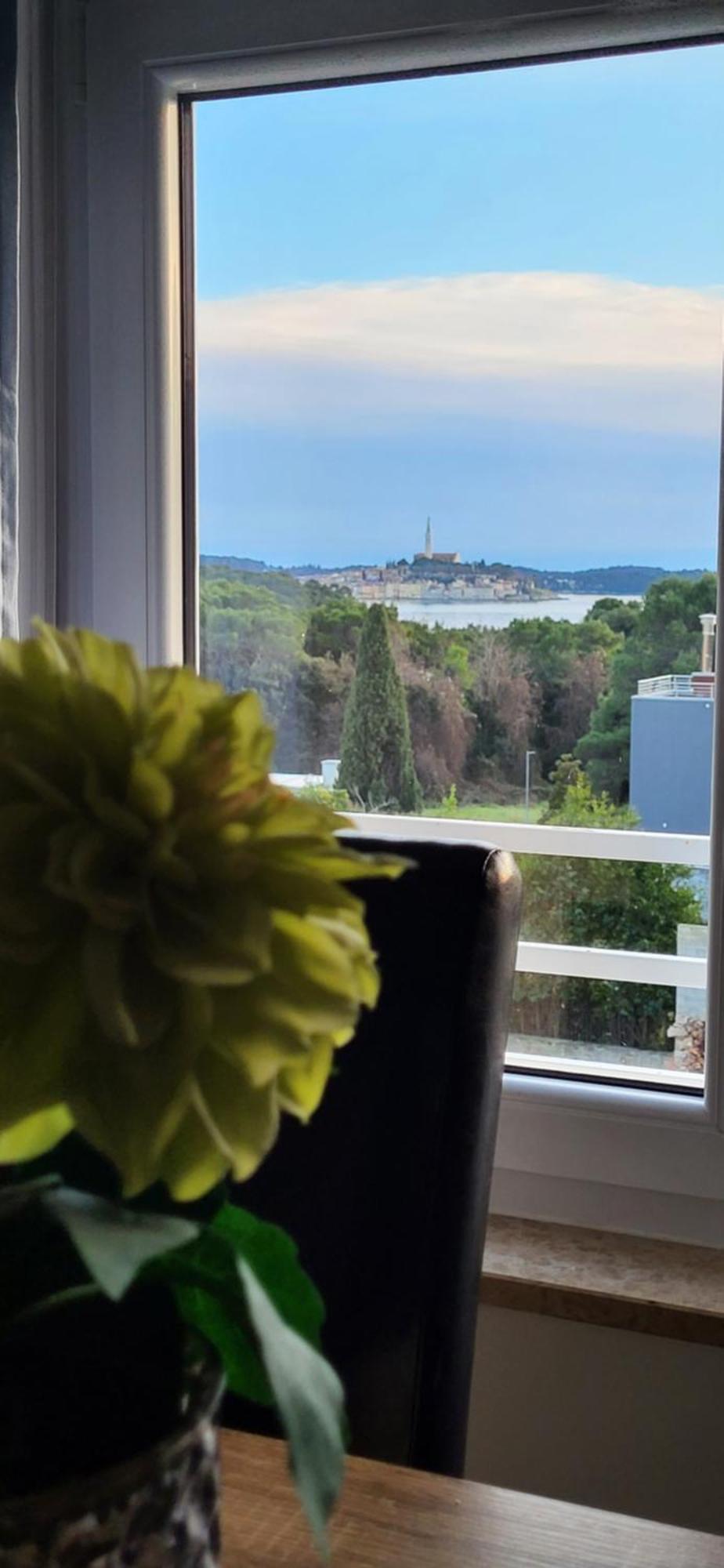 Villa Salvia Rooms And Apartments Rovinj Luaran gambar